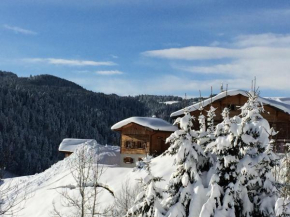 Chalet confortable avec sauna, Wi-Fi et parking privé - FR-1-671-21
